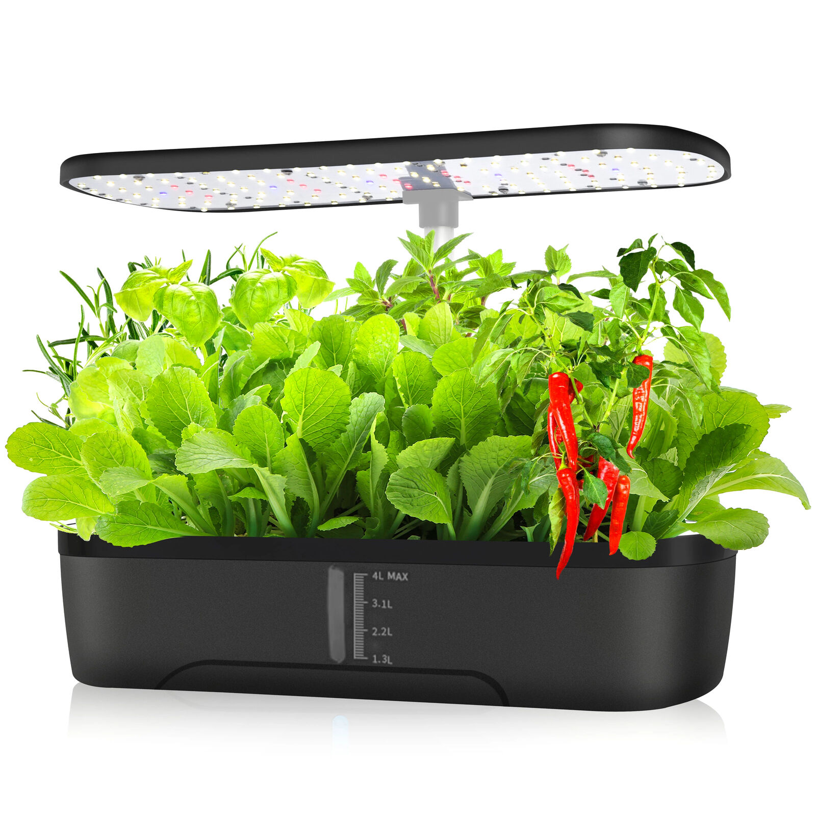 12 Pods Hydroponics Growing System Indoor Herb Garden Grow Light Timer LED Grow