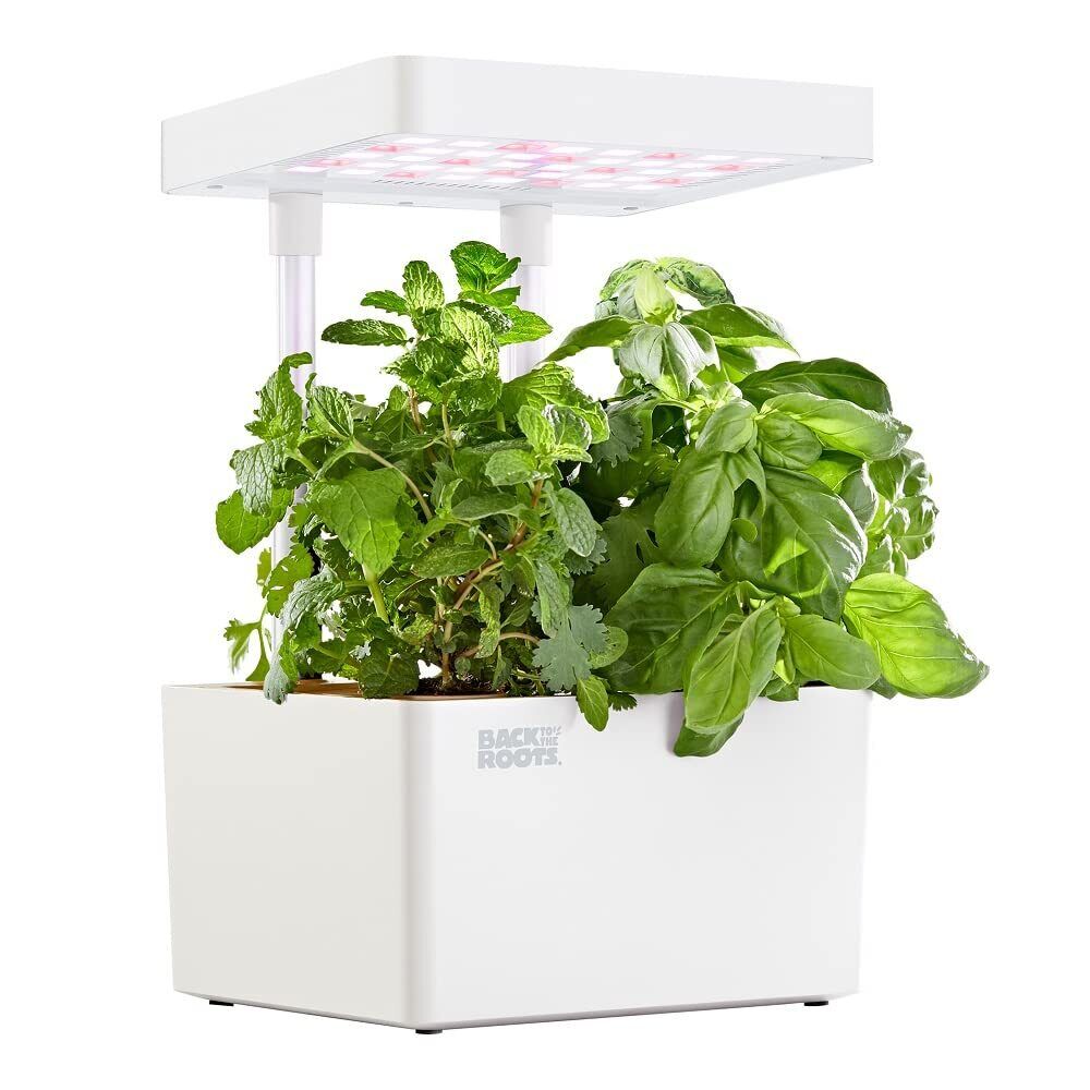 Back to the Roots Hydroponic Grow Kit Indoor Garden Matte White Organic Seeds...