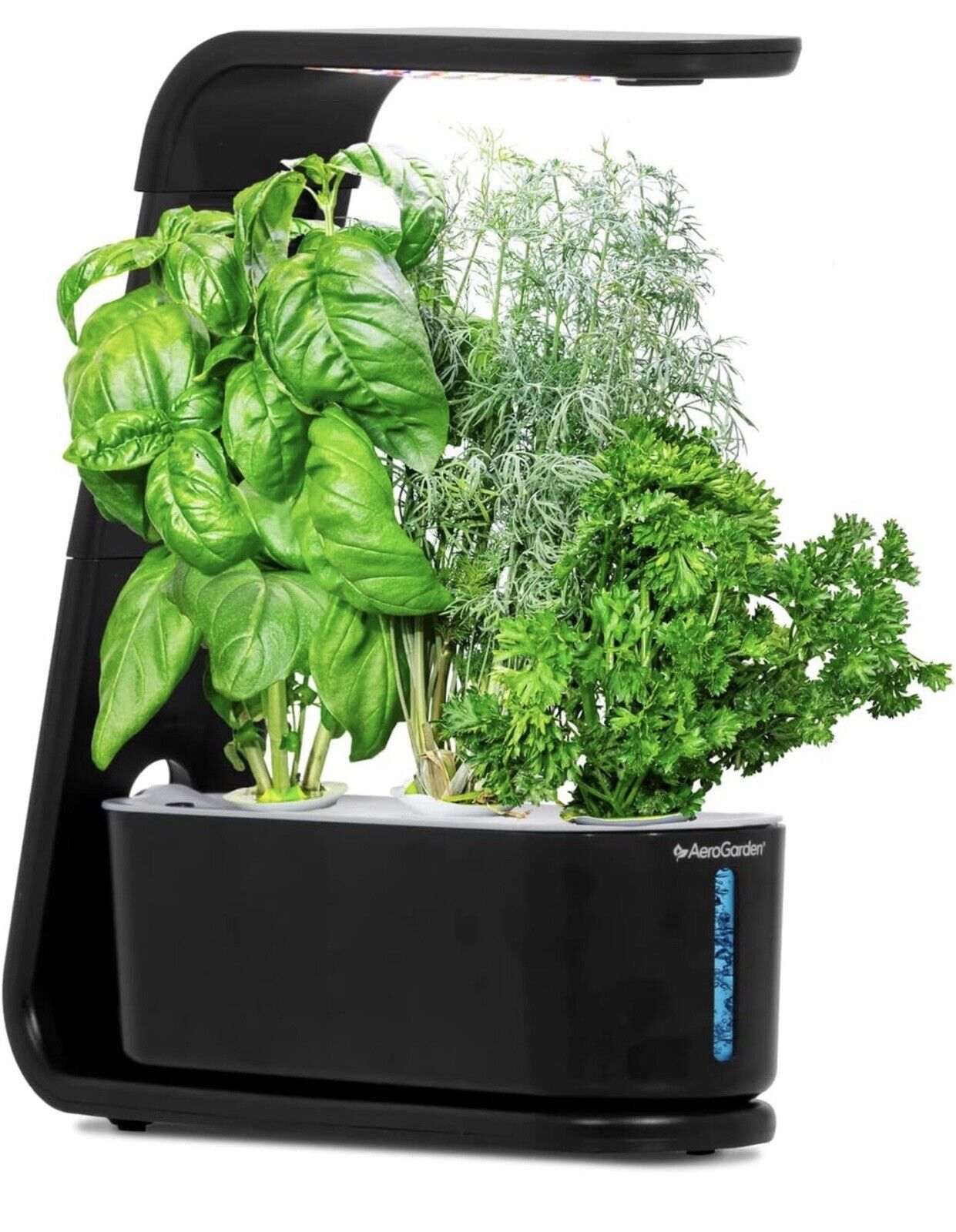 AeroGarden Sprout with Gourmet Herbs Seed Pod Kit Hydroponic Indoor Garden