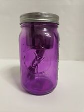 Modern Sprout Jar - Grow with Self Watering Indoor Garden Mason Purple picture