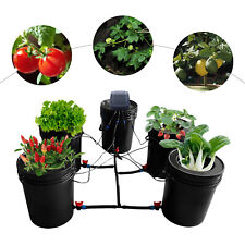 5 Gallon 5 Buckets Hydroponics Grow System Kit Recirculating Deep Water Culture  picture