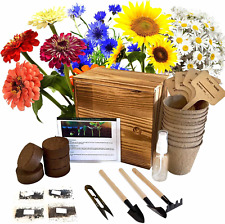 Indoor Starter 4 Kit with Complete Gardening Kit & Wooden Box, Growing into Shas picture