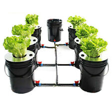 DWC 5 Gallons 6 Buckets Hydroponics Growing System Recirculating Growing Kit NEW picture
