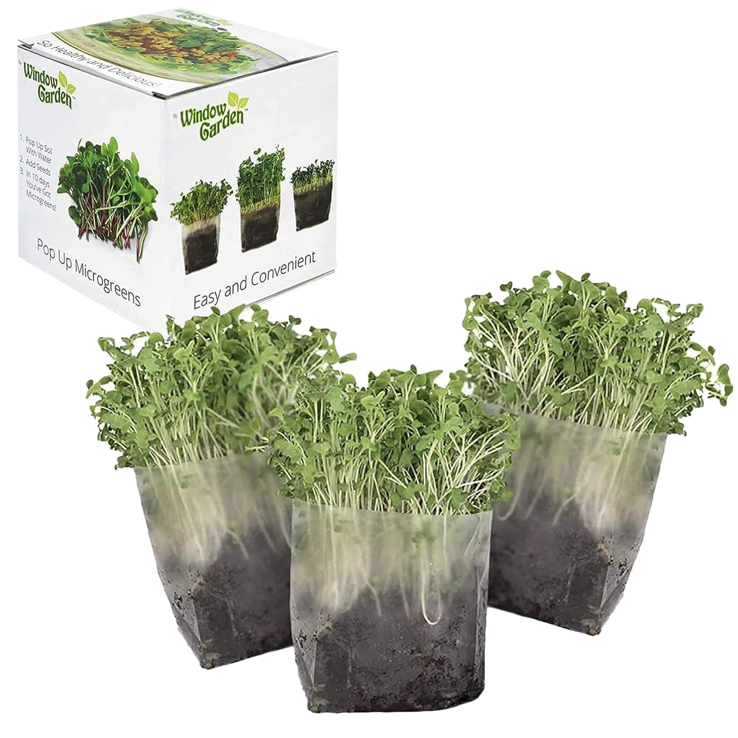 Pop up Microgreens Kit (Kale) – Just Add Water and Seed. Perfect Size, a Quick, 