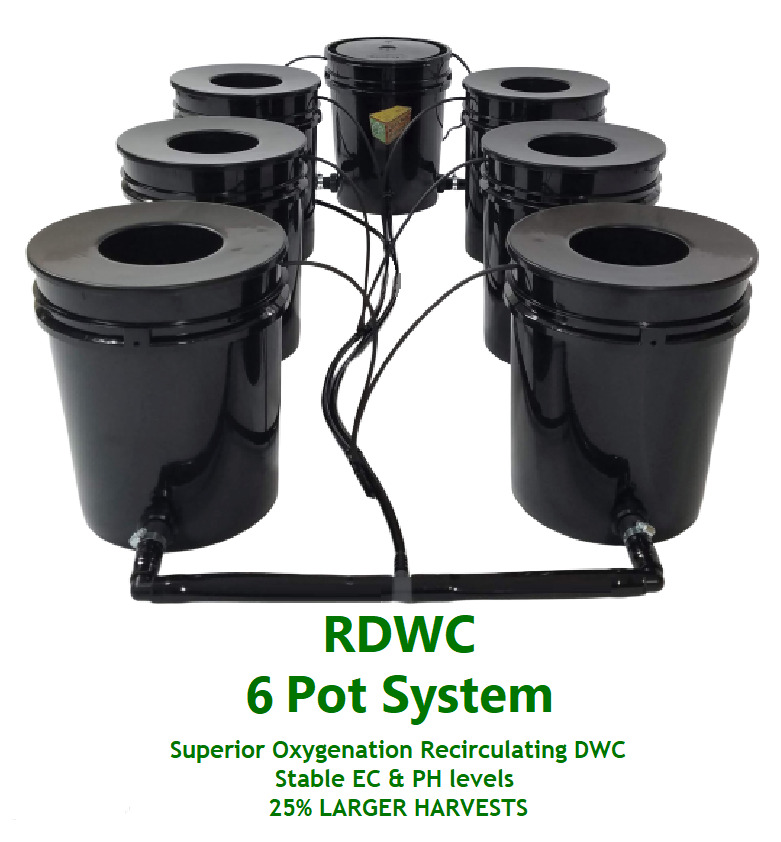 GROW 6 HYDROPONIC SYSTEM  RDWC DWC