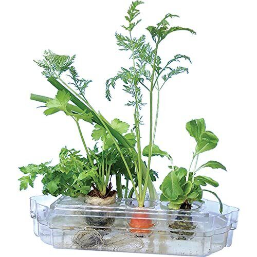 ndoor Gardening System/small/no Electricity Needed/all Year Round/hydroponic Gro