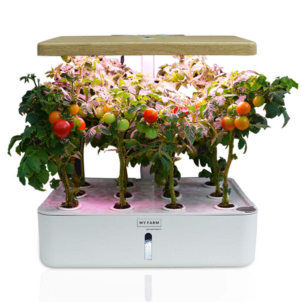 NNEMB 12 Pod Indoor Hydroponic Growing System-with Water Level Window & Pump-Whi