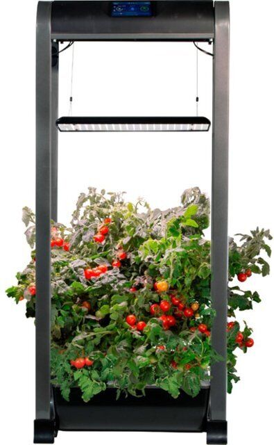 AeroGarden - Farm 12XL with Salad Bar Seed Pod Kit - Hydroponic Indoor Garden