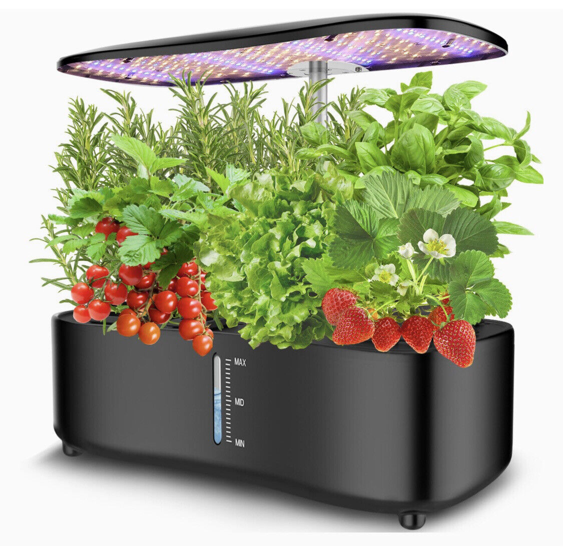 Hydroponics Indoor Growing System 12 Pods, Plant & Garden Kit 1gal, 20in Height