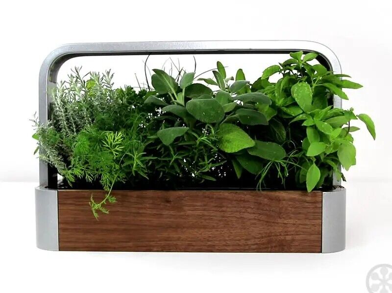 ēdn Small Smart Garden, Indoor, Table/Countertop, Soil free pods, Plug & Play LN