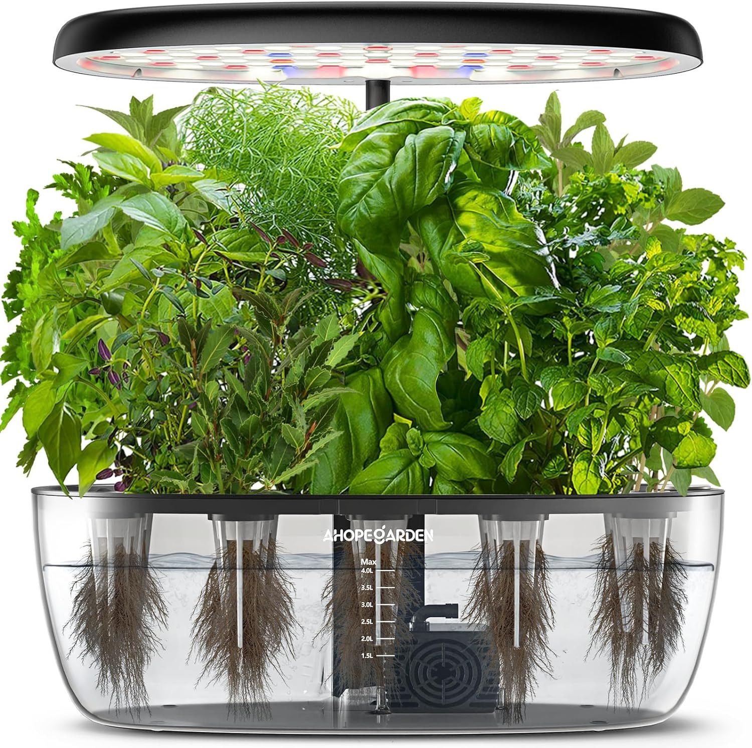 Indoor Garden Hydroponics Growing System: 12 Pods Plant Germination Kit Herb Gar