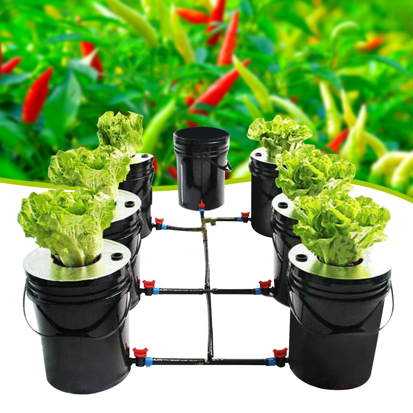 DWC 5 Gallons 6 Buckets Hydroponics Growing System Recirculating Growing Kit US