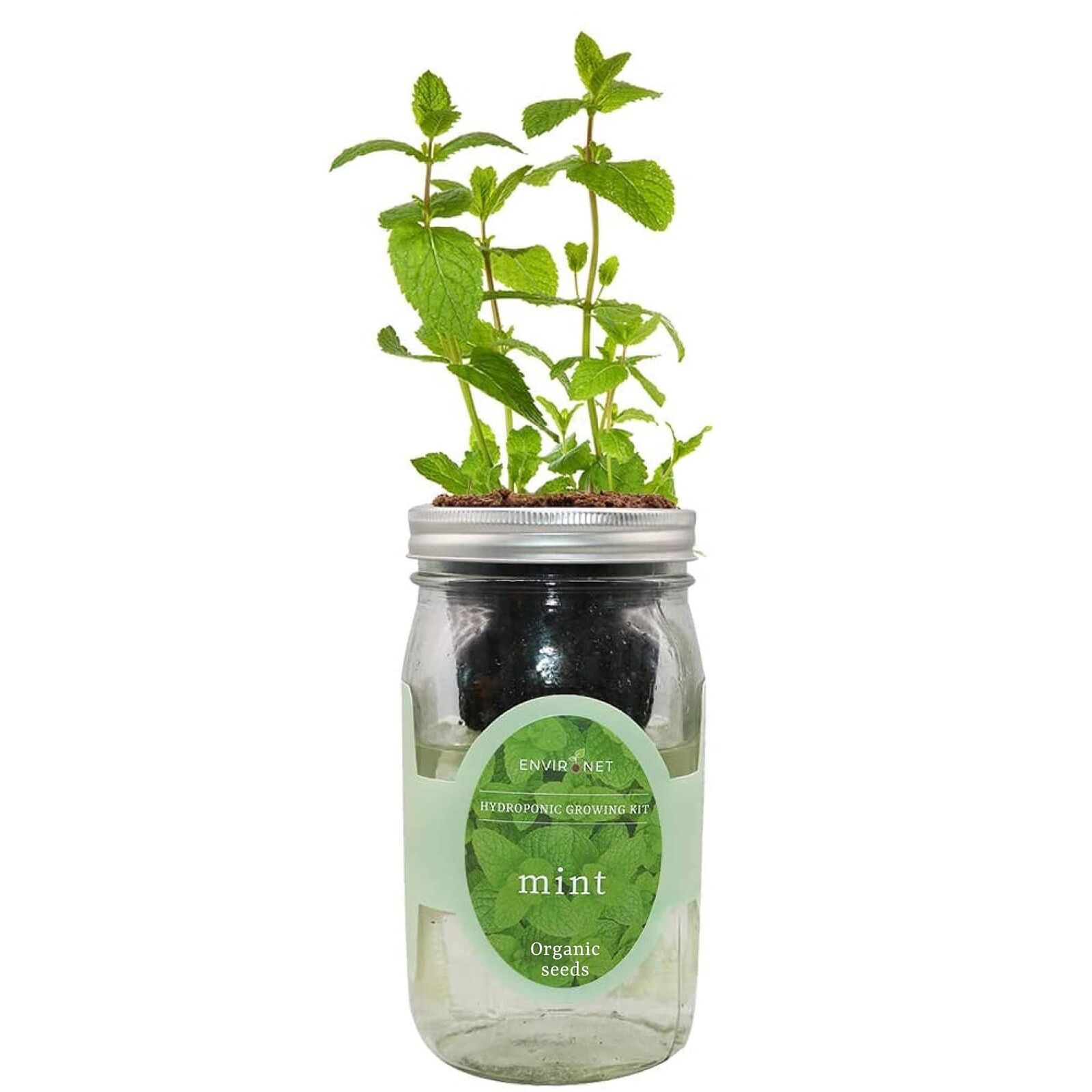 Hydroponic Herb Growing Kit, Self-Watering Mason Jar Herb Garden Starter Kit ...