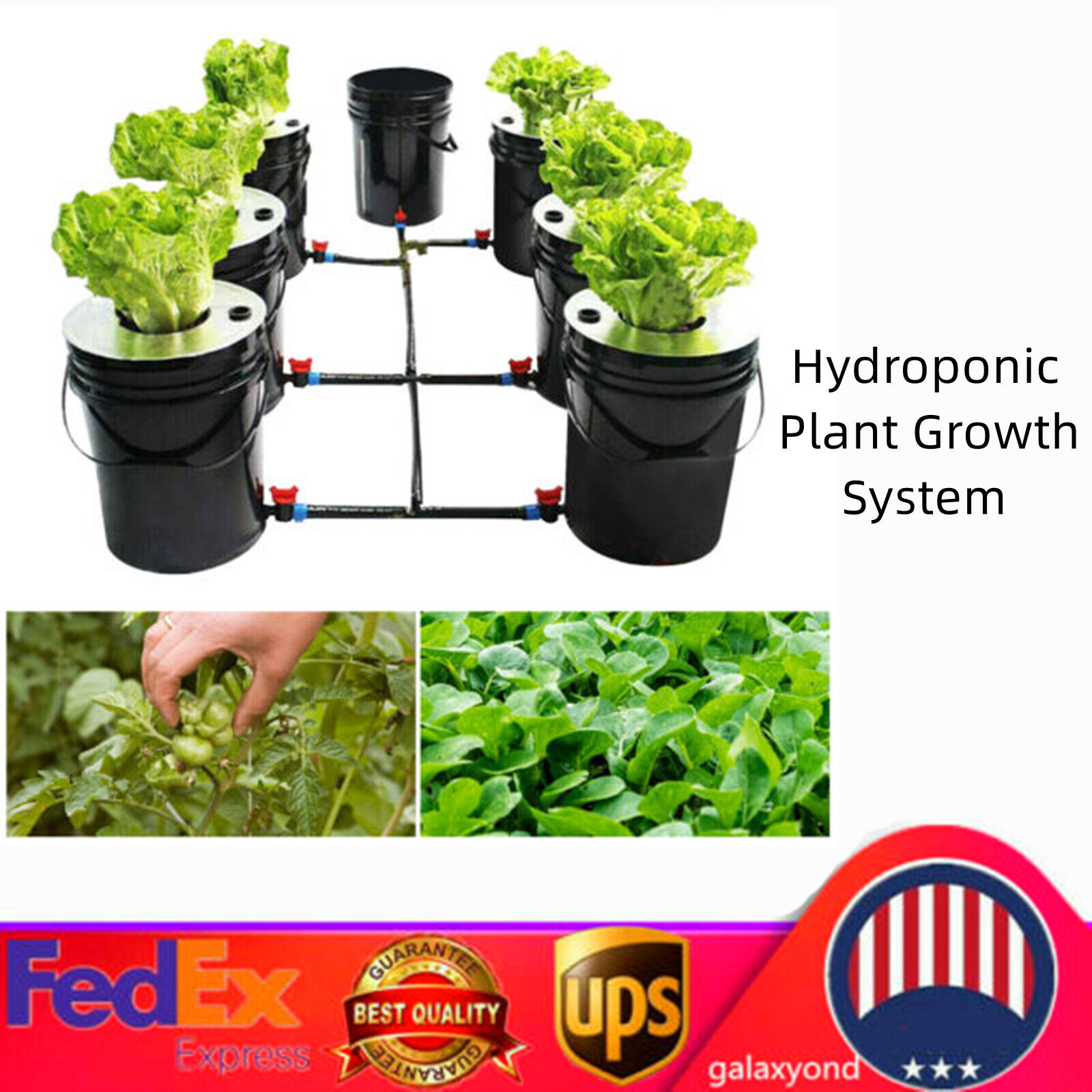 Deep Water Culture (DWC) Hydroponic Soilless Grow Kit System +PUMP 20L 7 Buckets
