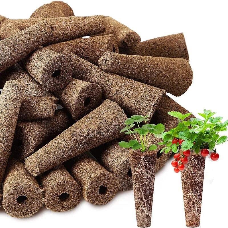 50pcs Seed Grow Sponges Replacement Root Growth Sponges Seedling Starter Plugs