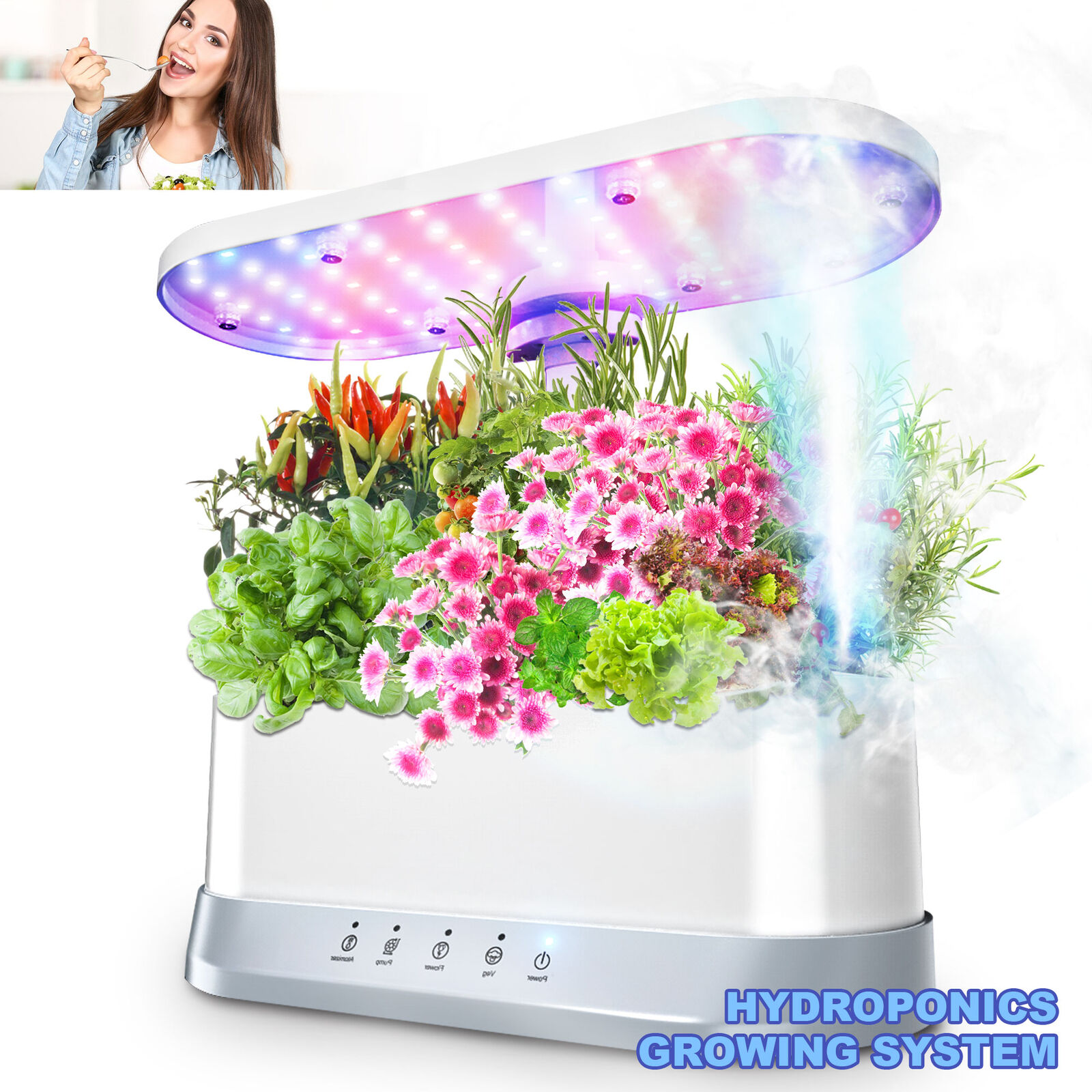 Hydroponics Growing System Indoor Garden Quiet Water Pump Mist Humidifier