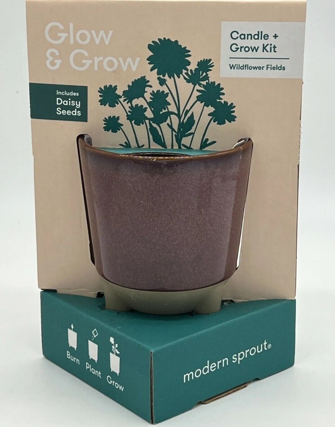 Modern Sprout Daisy Glow and Grow Ceramic Wildflower Scented Candle & Grow Kit