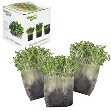 Pop up Microgreens Kit (Kale) – Just Add Water and Seed. Perfect Size, a Quick,  picture