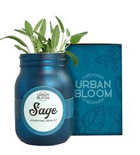 Hydroponic Herb Growing Kits - Fresh Sage - Indoor Garden System in a Mason J... picture
