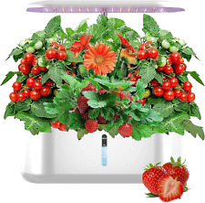  10 Pods Hydroponics Growing System with 24W Full Spectrum Grow Lights  picture