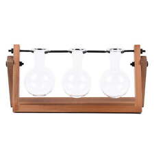 NEW-Painted Rectangle Glass and Wood Propagation Station Set picture
