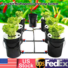20L Hydroponics Growing System DWC Recirculating Growing Kit Deep Water Culture picture
